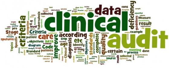 MasterWKSP - Clinical Audit 9 - 10 Aug 2025 cover