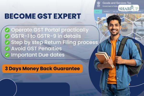 GST Expert cover