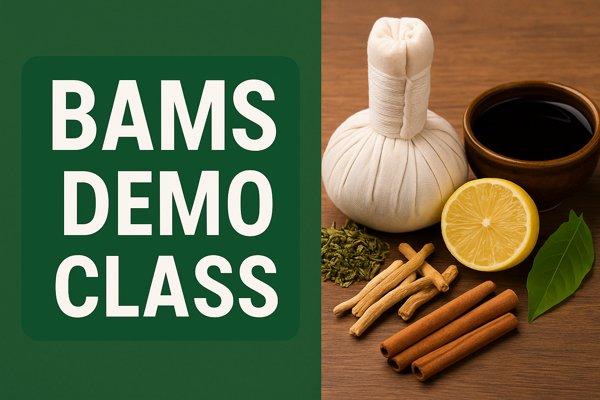 BAMS DEMO CLASS cover