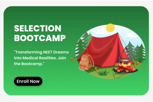 Dr. Anand Mani Residential School - Selection Bootcamp cover