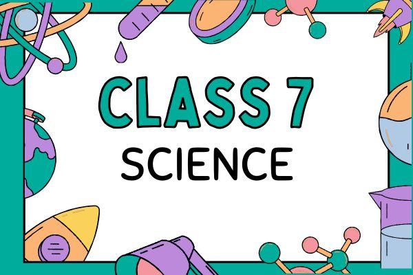 Class 7 Science English Medium Karnataka State Board cover