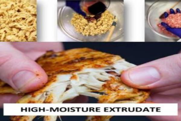 Food Technologist- Plant Based Proteins cover