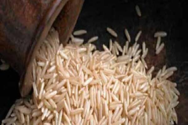 Fortified Rice Technician cover