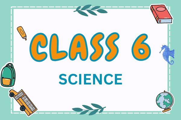 Class 6 Science English Karnataka State Board cover