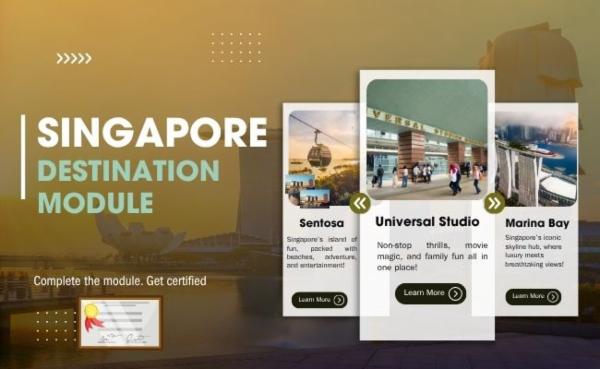 Singapore Destination Module (New) cover
