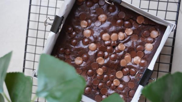 All about Brownies - Eggless ( English Recorded ) cover