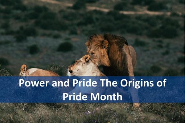 Power and Pride The Origins of Pride Month cover