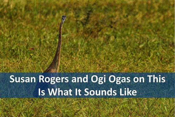 Susan Rogers and Ogi Ogas on This Is What It Sounds Like cover