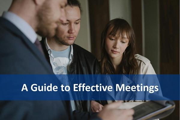 A Guide to Effective Meetings cover