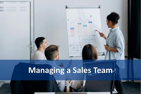 Managing a Sales Team cover