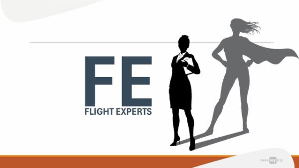 Flight Expert Tool cover