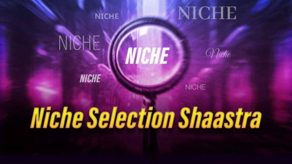 Niche Selection cover