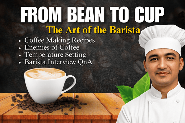 From Bean to Cup: The Art of Barista cover