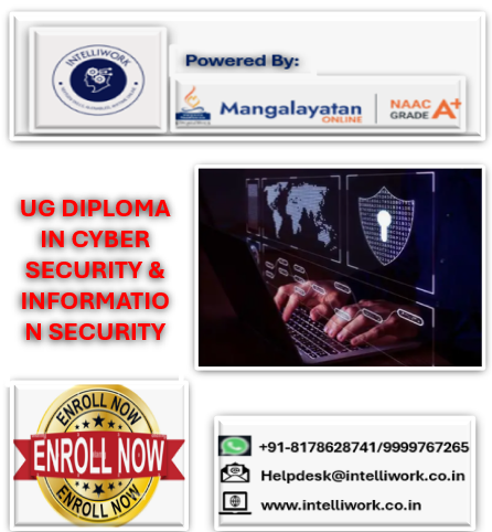 UG DIPLOMA IN CYBERSECURITY & INFORMATION SECURITY-ONLINE PROGRAM cover