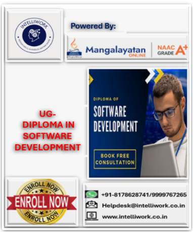 UG DIPLOMA IN SOFTWARE DEVELOPMENT-ONLINE PROGRAM cover
