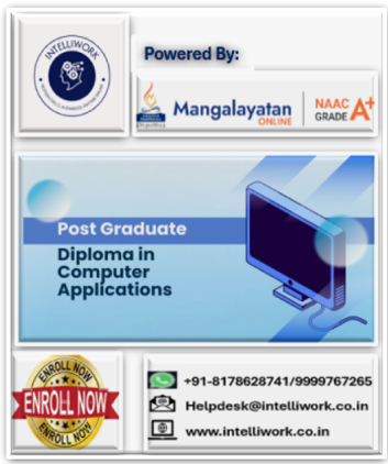 PG DIPLOMA IN COMPUTER APPLICATION-ONLINE PROGRAM cover
