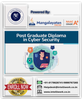 PG DIPLOMA IN CYBER SECURITY-ONLINE PROGRAM cover