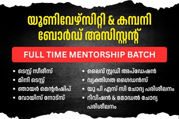 Full Time Mentorship Batch for Company Board and university assistant cover