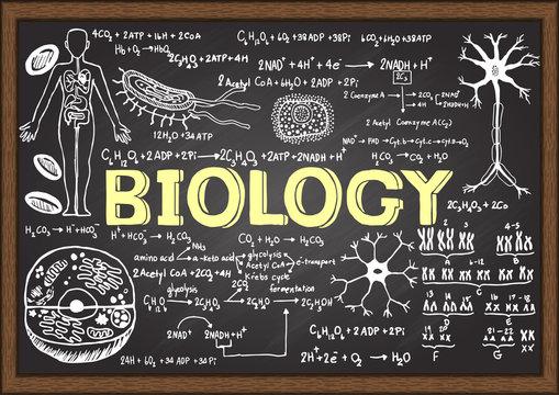 NEET CLASS XI - BIOLOGY cover