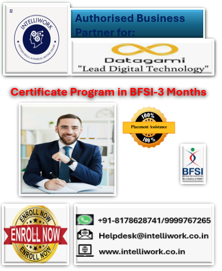 Certificate Course in BFSI- 3 Months from Datagami cover