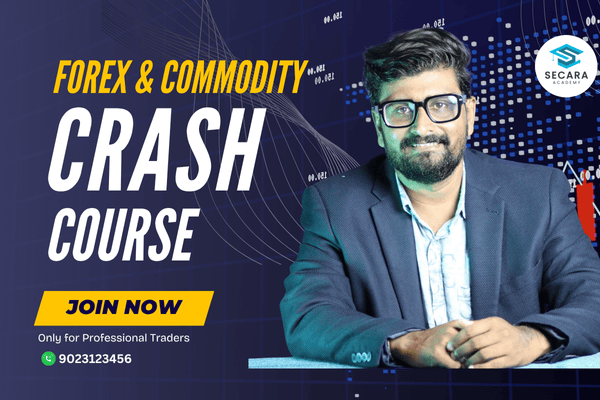Crash Course on Forex & Commodity cover