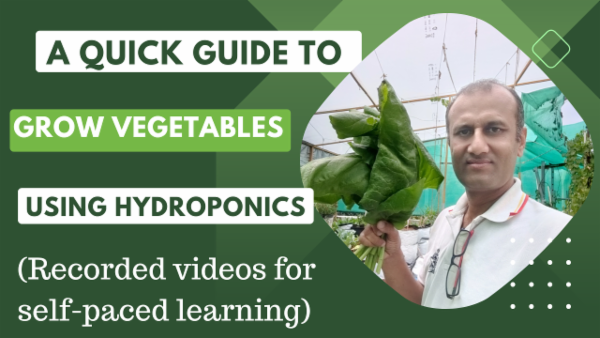 Quick Guide to Grow Vegetables Using Hydroponics Method cover