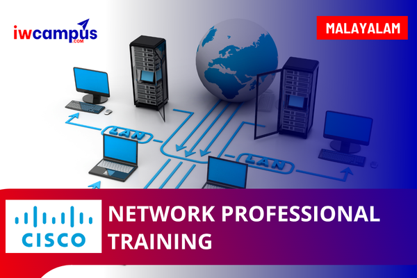 Network Professional Training cover