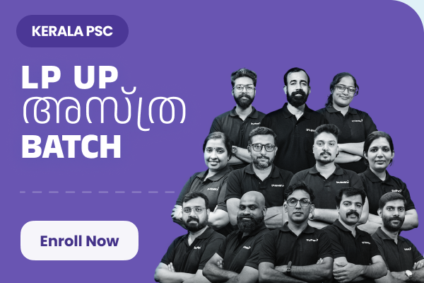 LP/UP Mentorship Batch cover