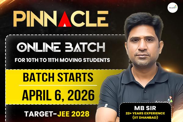 Pinnacle 2028 – For Class 11th JEE cover