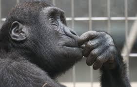 Generalized Anxiety: Relief from Overthinking cover