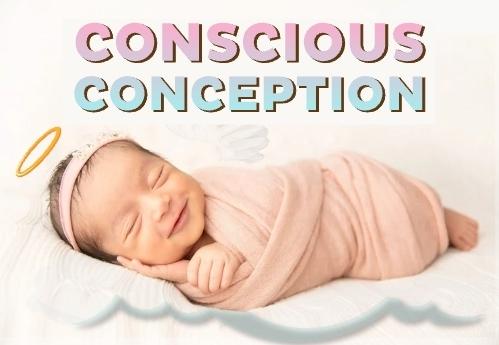 Conscious Conception Copy cover