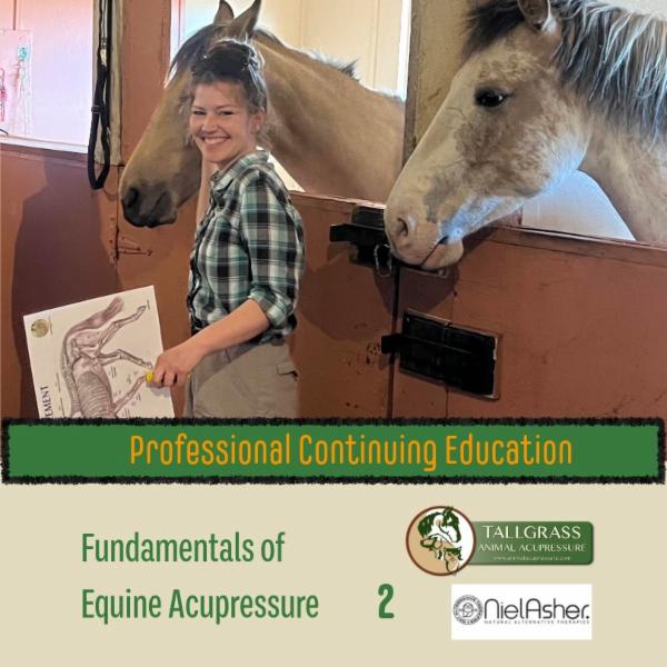 Fundamentals of Equine Acupressure - Level 2 cover