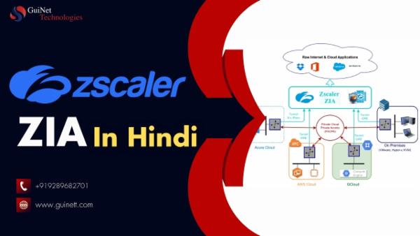 Zscaler Internet Access (ZIA) in Hindi cover
