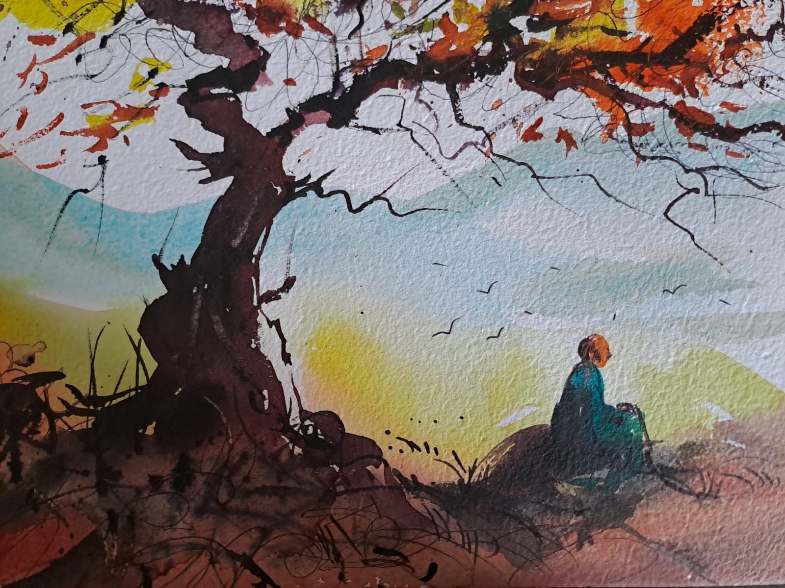 Premium Reference Photo Library