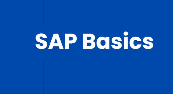 SAP Consultant : Job Readiness Program cover