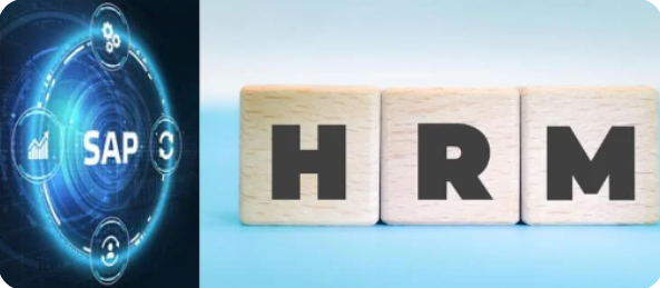 SAP HCM Consultant – Starter Program cover