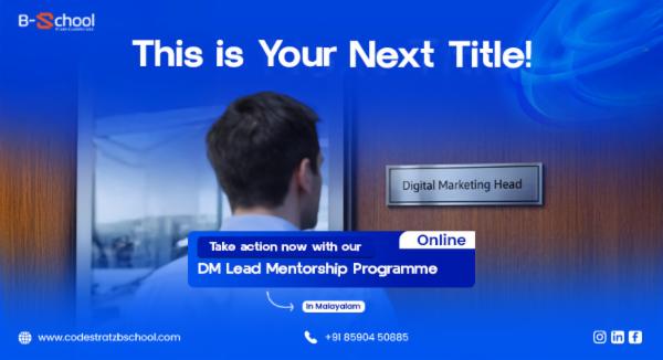 DM LEAD MENTORSHIP PROGRAM package preview