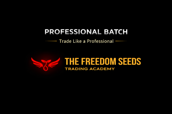 Professional Batch - Trading Master Class cover