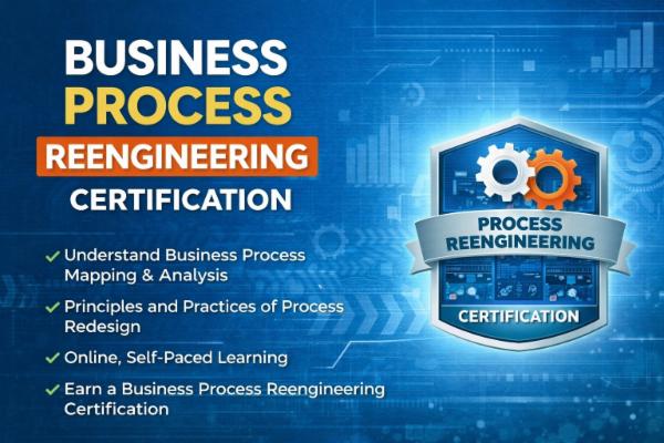Business Process Reeingeneering cover
