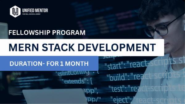 Unified Mentor courses