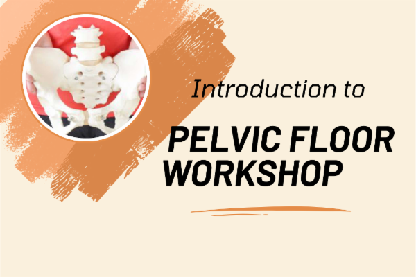 Introduction to Pelvic Floor Workshop (Pre recorded) cover