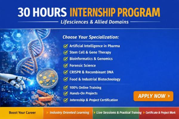 30 Hours Internship Program cover