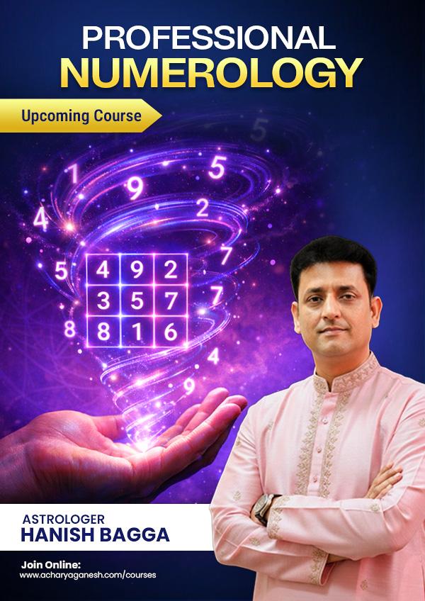 Professional Numerology Course cover
