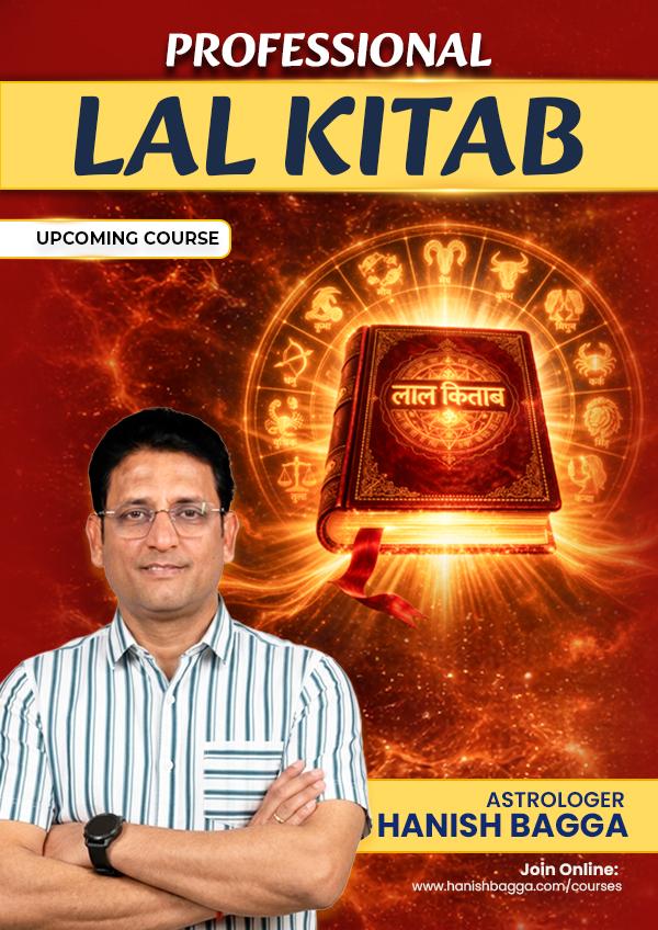 Professional Lal Kitab cover