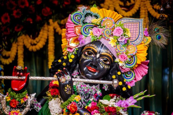 IIT foundation program cover