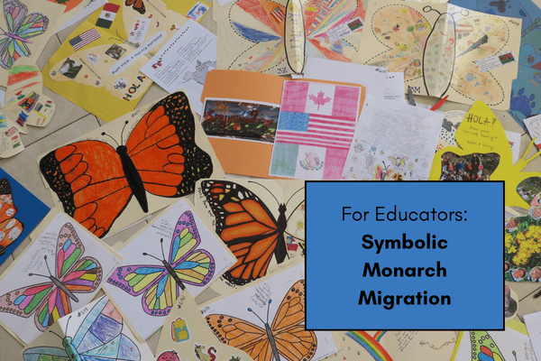 Symbolic Monarch Migration 2026 cover