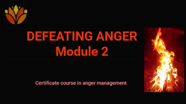Defeating Anger Module 2 cover