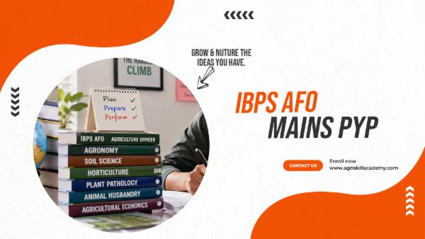 IBPS MAINS PYP cover