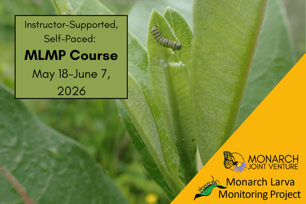 Monarch Larva Monitoring Project (Instructor-supported, time-bound) cover