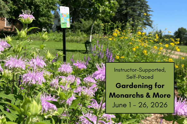 Gardening for Monarchs and More - June 2026 (Instructor-supported, time-bound) cover